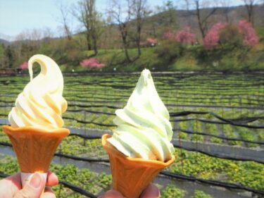 安曇野の観光地！子供も一緒に楽しめるスポットをご紹介